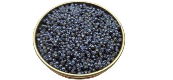 Kaviar vom Sibirischen Stör - 10g