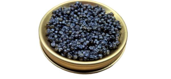 Beluga Kaviar - 10g