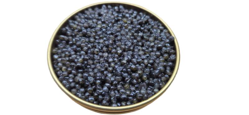 Kaviar vom Sibirischen Stör - 10g