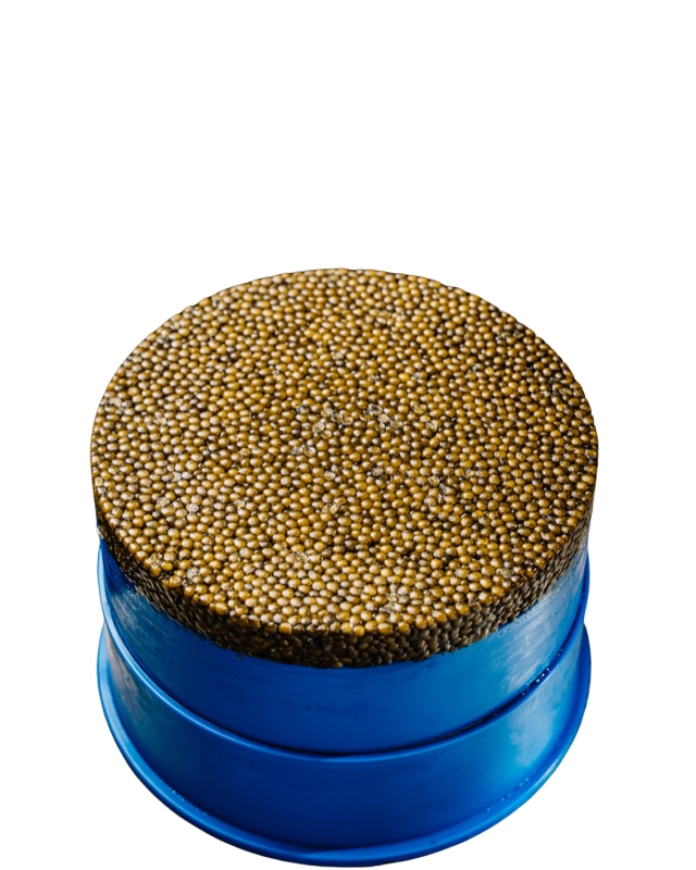 1 Kg Dose Kaviar vom Sibirischen Stör